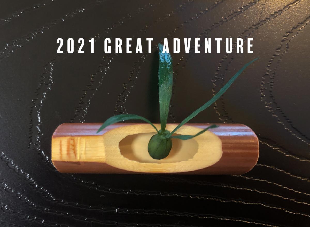 2021　大冒険の旅へ